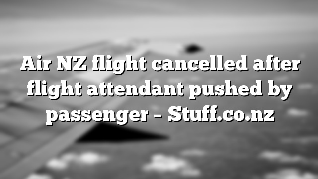 Air NZ flight cancelled after flight attendant pushed by passenger – Stuff.co.nz