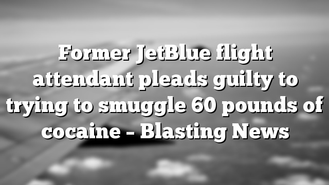 Former JetBlue flight attendant pleads guilty to trying to smuggle 60 pounds of cocaine – Blasting News