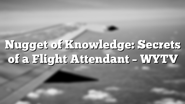 Nugget of Knowledge: Secrets of a Flight Attendant – WYTV