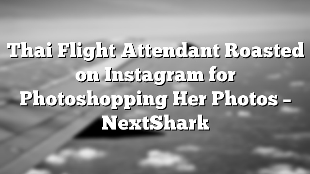 Thai Flight Attendant Roasted on Instagram for Photoshopping Her Photos – NextShark