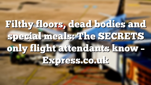 Filthy floors, dead bodies and special meals: The SECRETS only flight attendants know – Express.co.uk