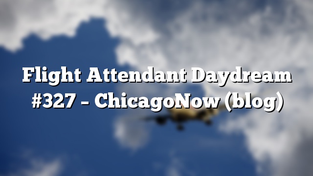 Flight Attendant Daydream #327 – ChicagoNow (blog)
