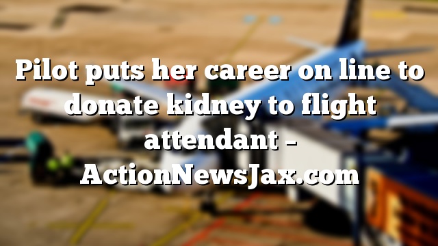 Pilot puts her career on line to donate kidney to flight attendant – ActionNewsJax.com