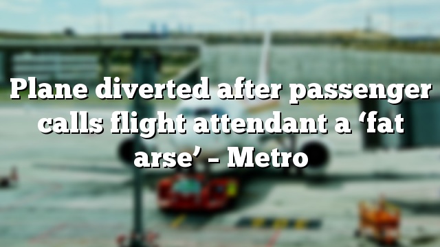 Plane diverted after passenger calls flight attendant a ‘fat arse’ – Metro