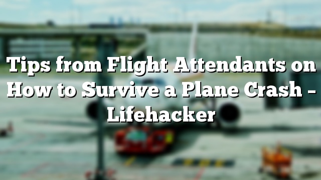 Tips from Flight Attendants on How to Survive a Plane Crash – Lifehacker