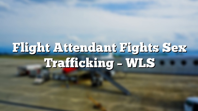 Flight Attendant Fights Sex Trafficking – WLS